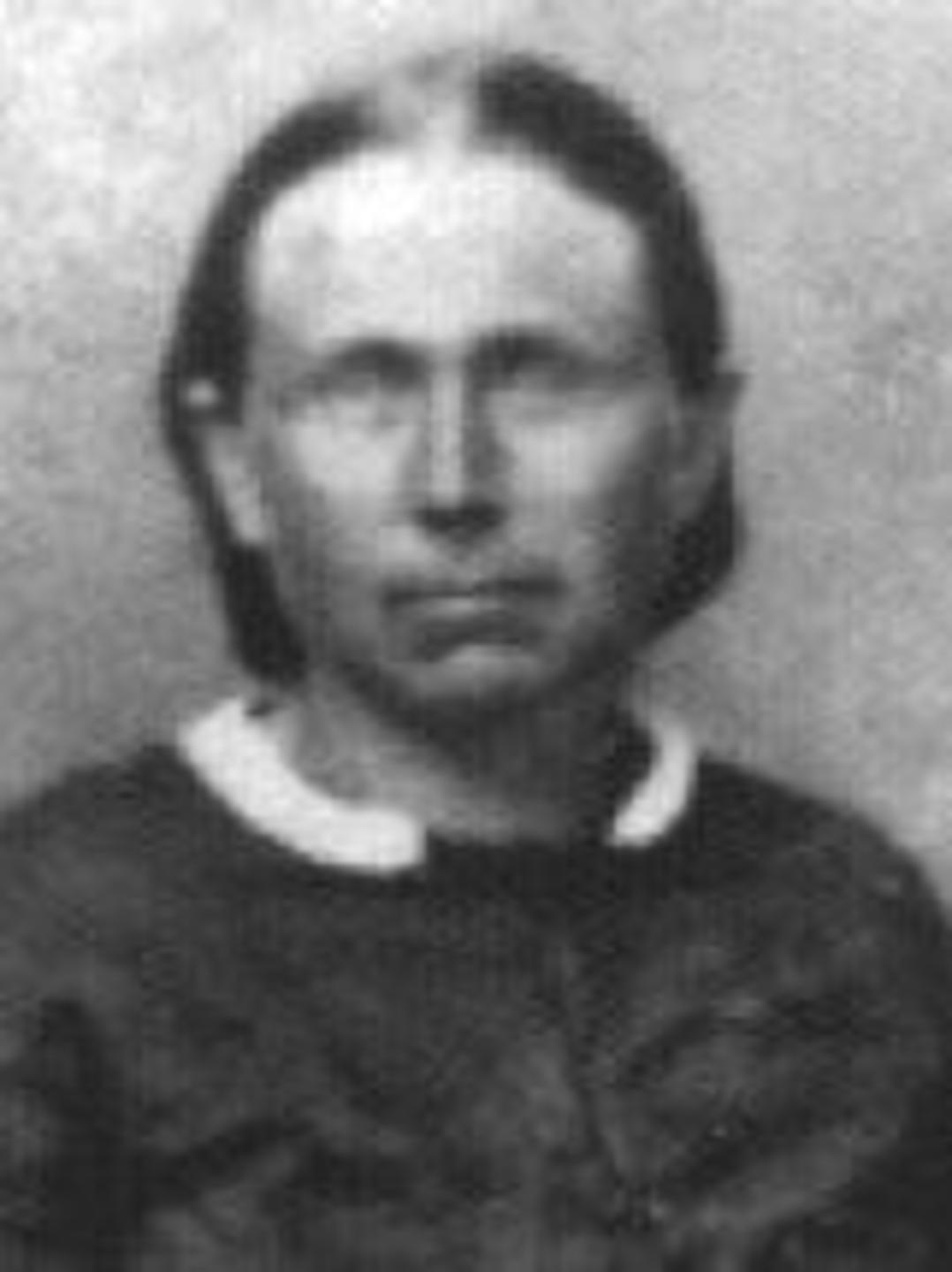 Mary Johnston (1801 - 1895) Profile